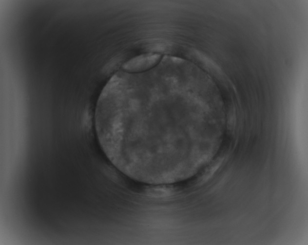 X0000100490282200807111129