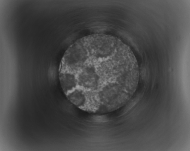 X0000100490283200807111129