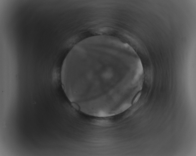 X0000100490284200807111129