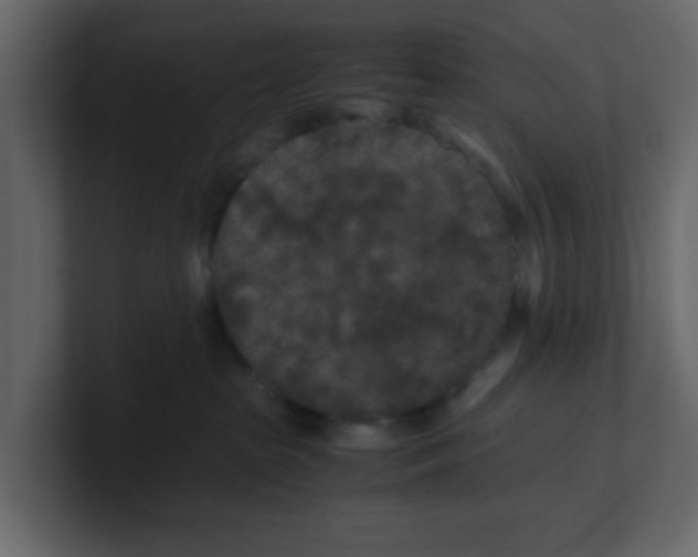 X0000100490285200807111129