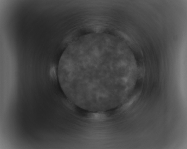 X0000100490286200807111129