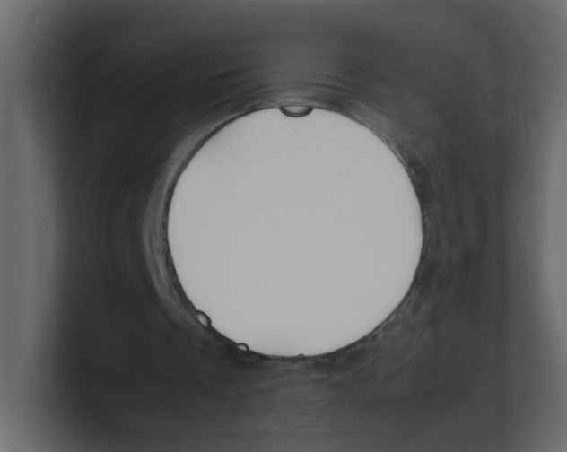X0000100490289200807111128