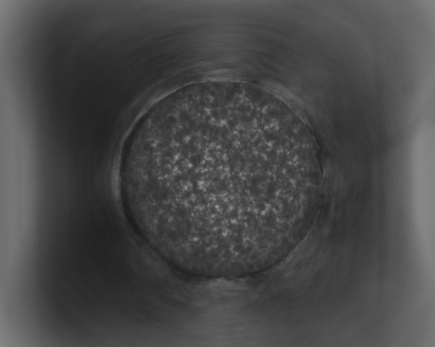 X0000100490290200807111128