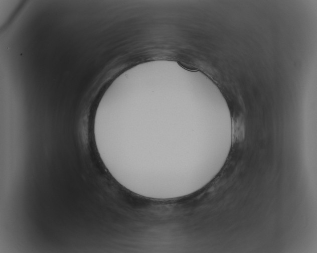 X0000100490291200807111128