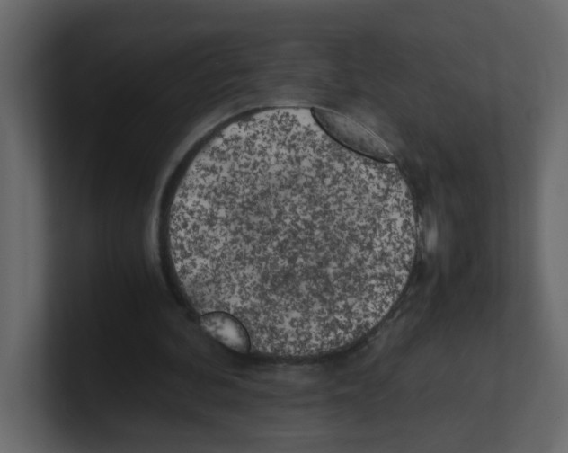 X0000100490292200807111128
