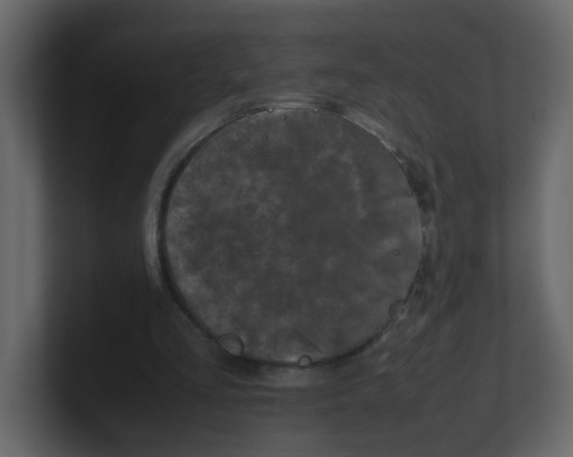 X0000100490293200807111128