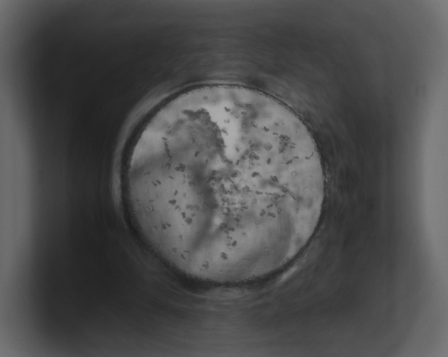 X0000100490294200807111128