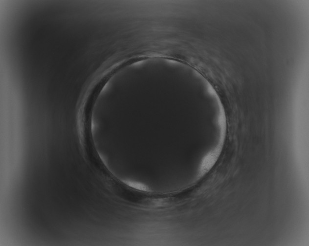 X0000100490295200807111128