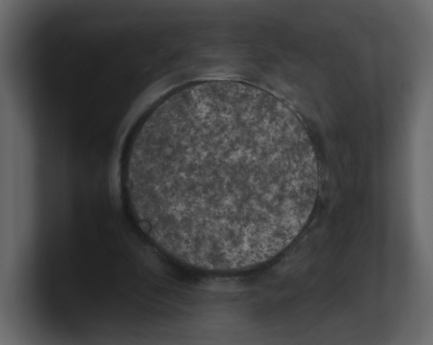 X0000100490296200807111128