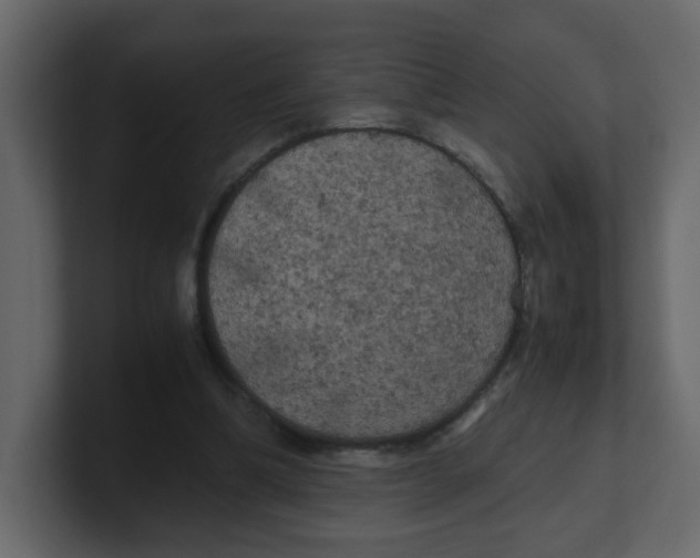 X0000100490298200807111128