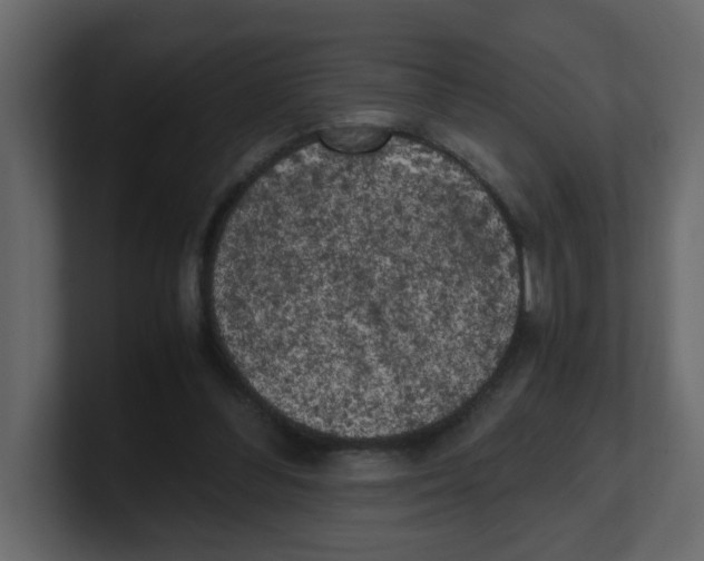 X0000100490300200807111128