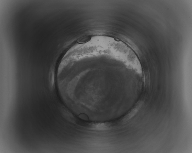 X0000100490301200807111128