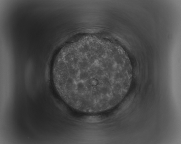 X0000100490303200807111128