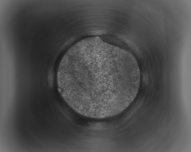 X0000100490304200807111128