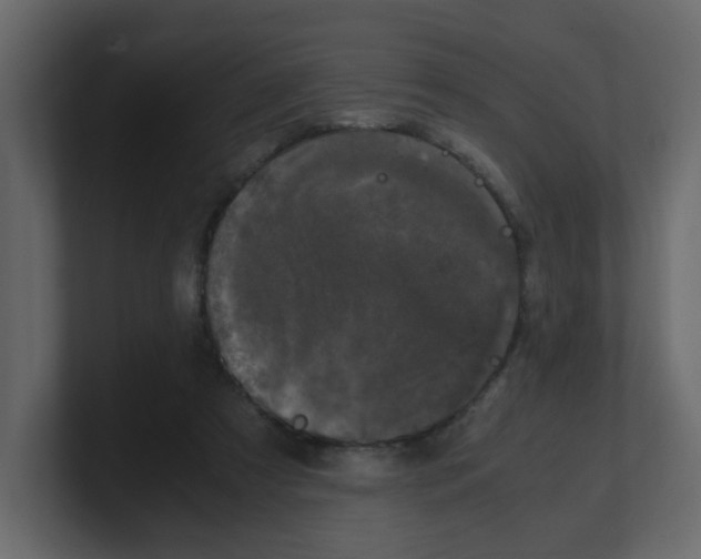 X0000100490305200807111128