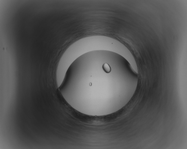 X0000100490308200807111128