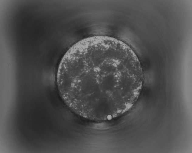 X0000100490309200807111128