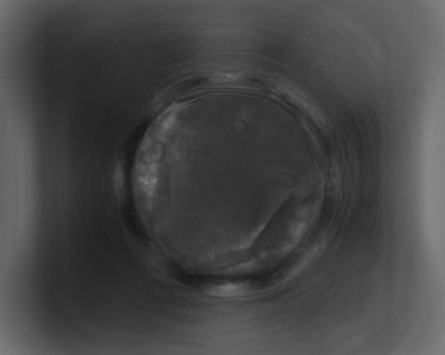 X0000100490312200807111128