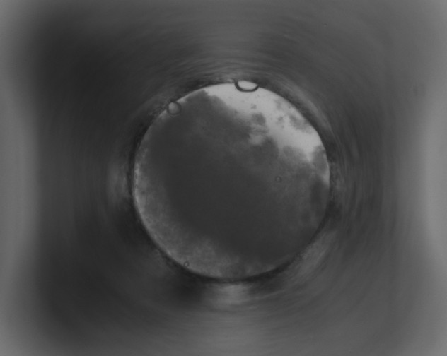 X0000100490313200807111128