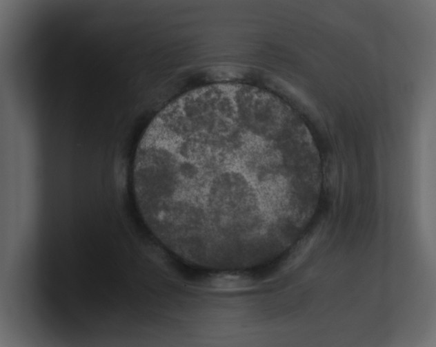 X0000100490315200807111128