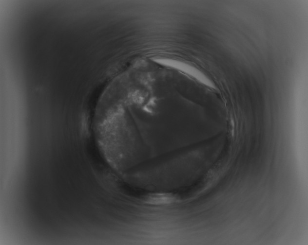 X0000100490316200807111128