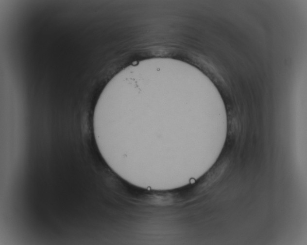 X0000100490317200807111128