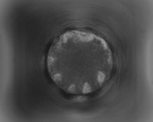 X0000100490319200807111128