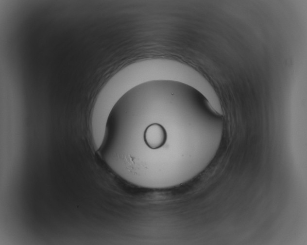 X0000100490320200807111128