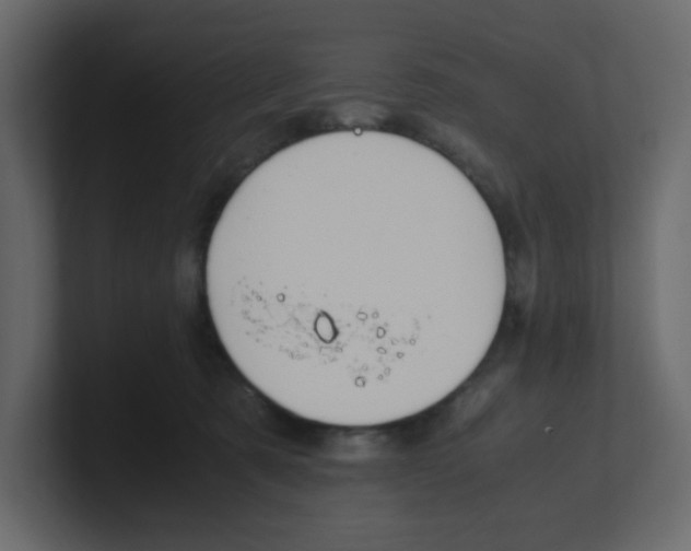 X0000100490321200807111128