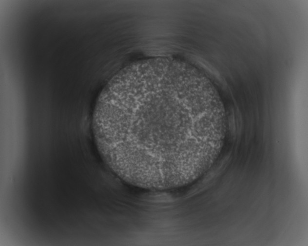 X0000100490322200807111128