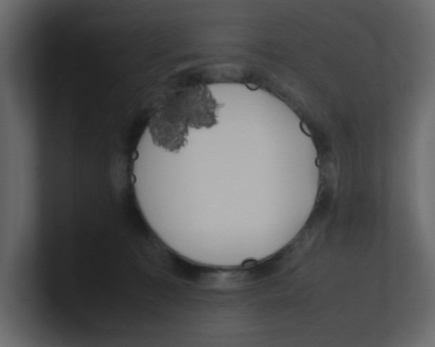 X0000100490323200807111128