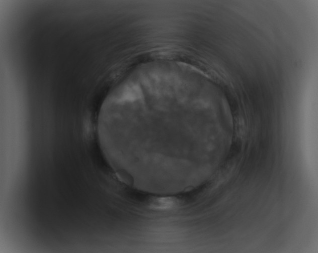 X0000100490324200807111128