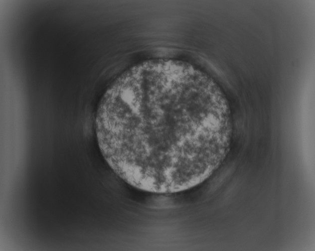 X0000100490325200807111128