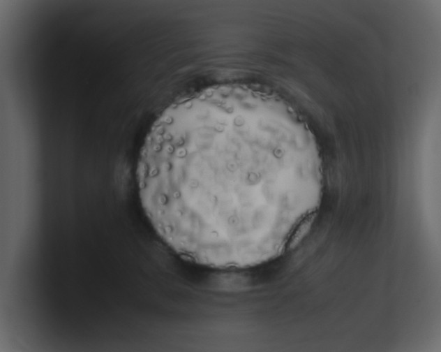 X0000100490327200807111128