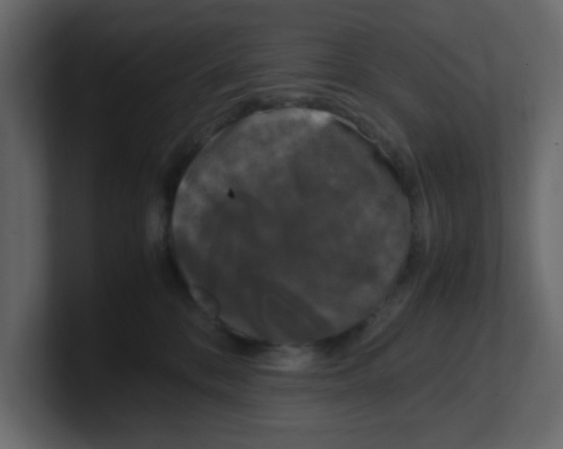 X0000100490328200807111128