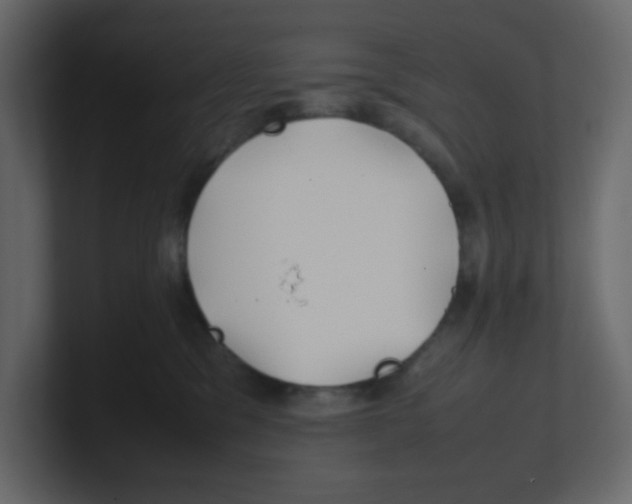 X0000100490329200807111128