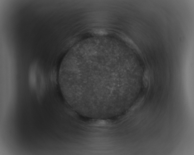 X0000100490330200807111128