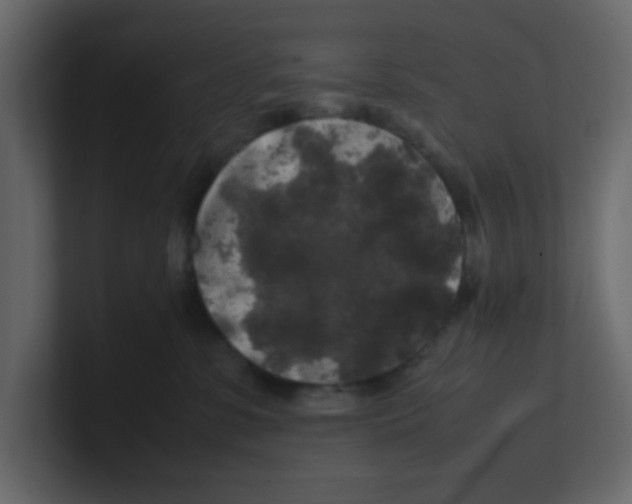 X0000100490331200807111128