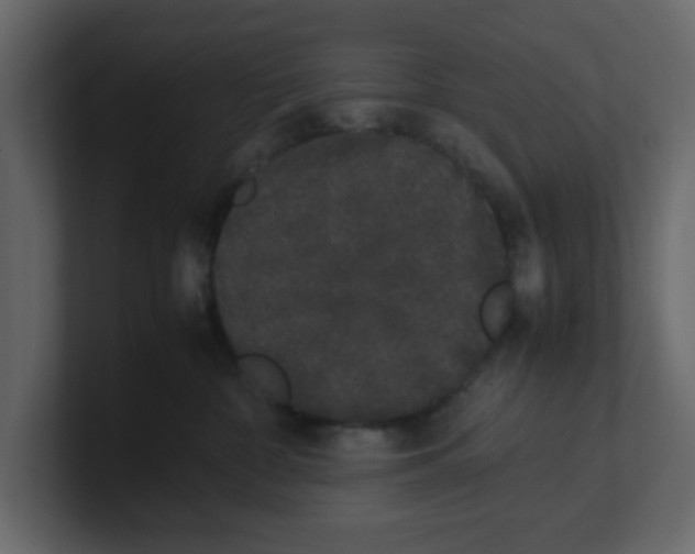 X0000100490332200807111128