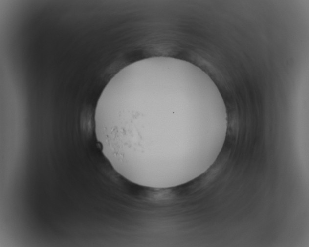 X0000100490334200807111128