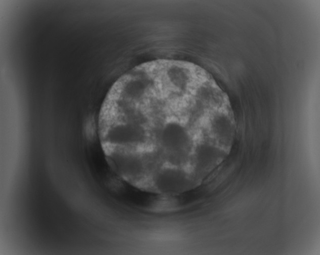 X0000100490335200807111128