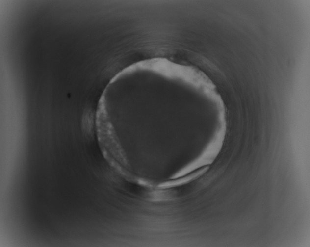 X0000100490336200807111128