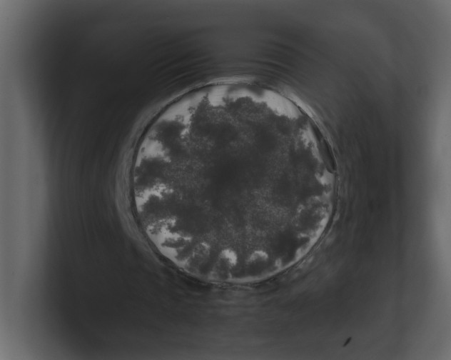 X0000100490337200807111127