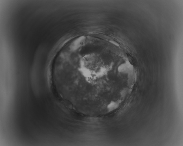 X0000100490339200807111127