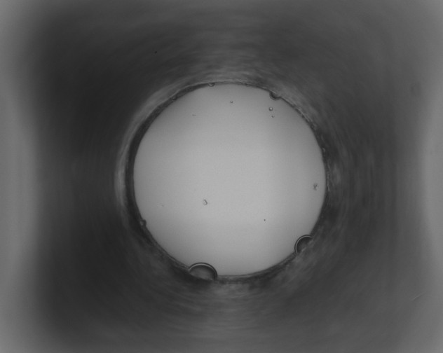 X0000100490340200807111127