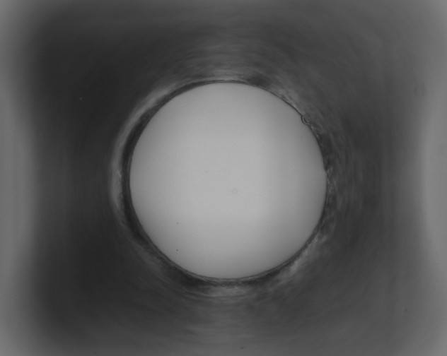 X0000100490342200807111127