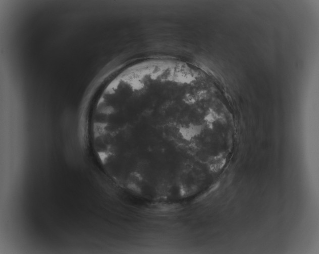 X0000100490343200807111127