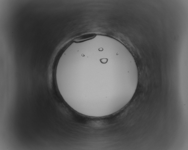 X0000100490344200807111127