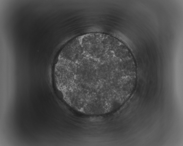 X0000100490345200807111127