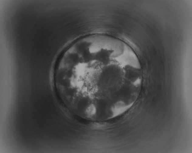 X0000100490346200807111127